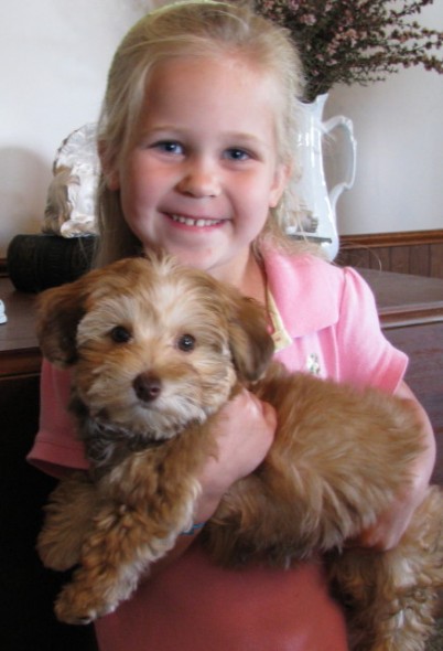 gipes-dog-chrissy Gipe family's dog, CJ with Chrissy