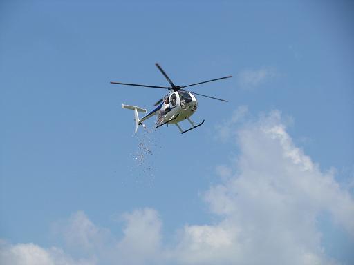 Here comes the candy from the copter!